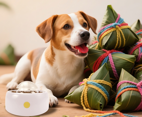 这个端午和爱宠一起，”粽“享欢乐时光！